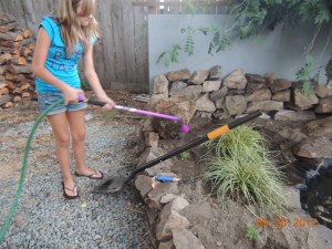 Learning how to water plants and take care of the water feature in our backyard....