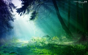 _wallpaper__wonderland_by_ddesimarie-d64d8sk